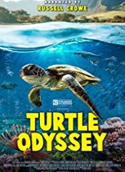 Voir Turtle Odyssey en streaming