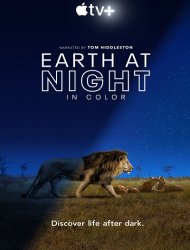 Voir Earth At Night In Color en streaming