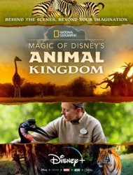 Voir Au cœur de Disney’s Animal Kingdom en streaming