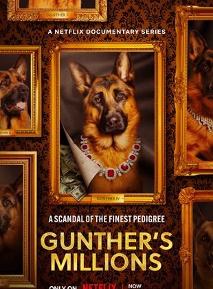 Voir Gunther, le chien qui valait des millions en streaming