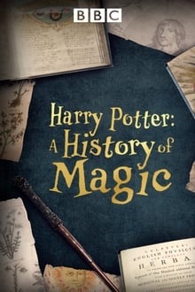 Voir Harry Potter, aux origines de la magie en streaming