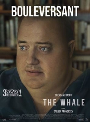 Voir The Whale en streaming