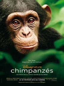 Voir Chimpanzés en streaming