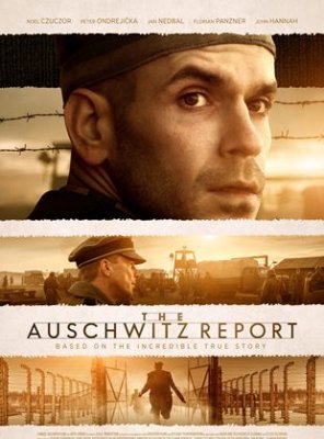 Voir Le Rapport Auschwitz en streaming