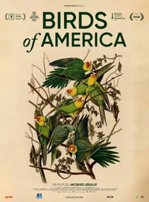 Voir Birds of America en streaming