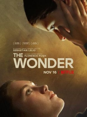 Voir The Wonder en streaming