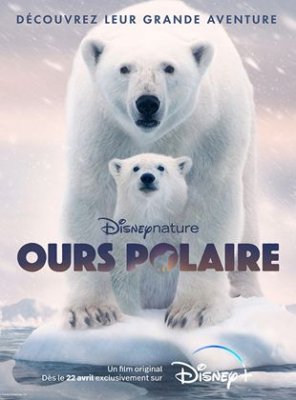 Voir Ours Polaire en streaming