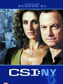 Les Experts : Manhattan saison 1 épisode 9